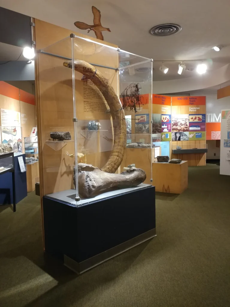 Garvies Point Museum and Preserve