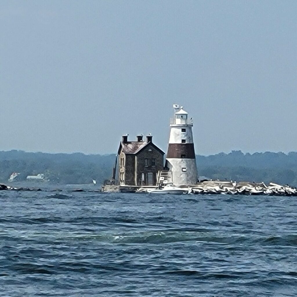 Nauti Mermaid Private Cruises & Sightseeing Tours