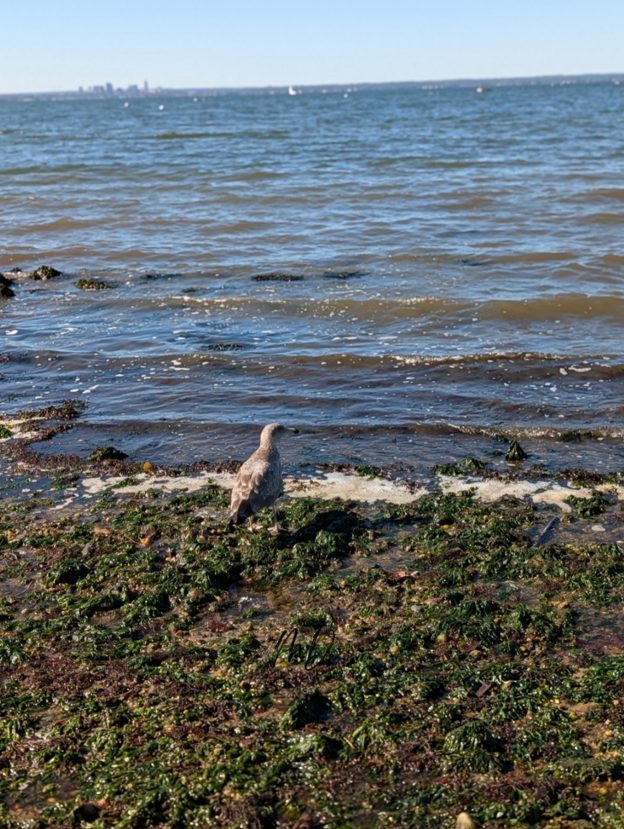 It’s not your trash, but it’s still your beach!